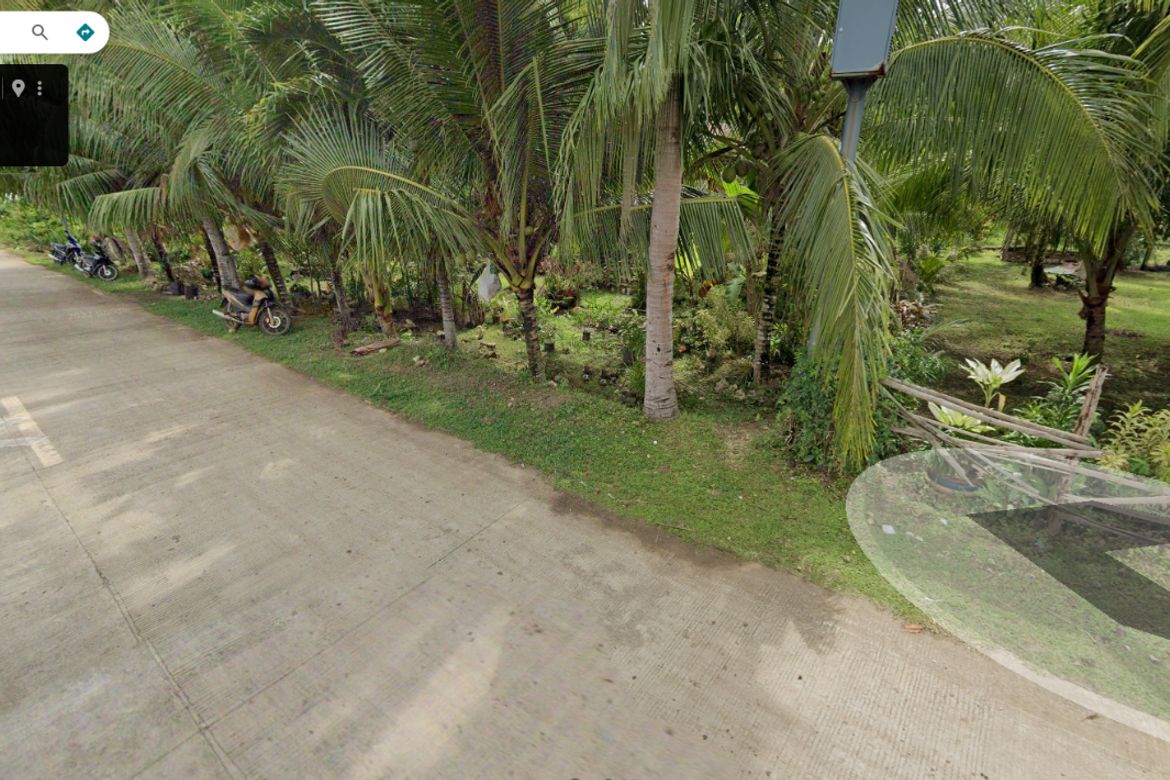 Land for Sale in Looc, Panglao, Bohol – photo 5