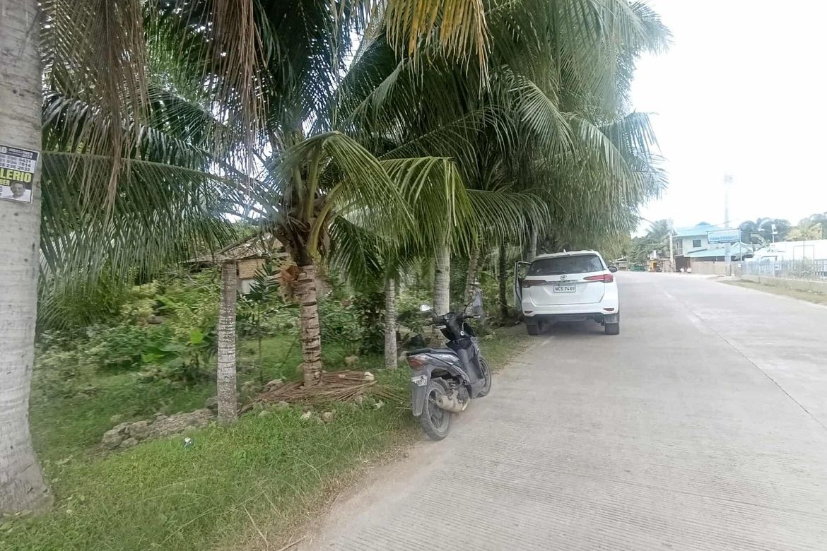 Land for Sale in Looc, Panglao, Bohol – photo 6