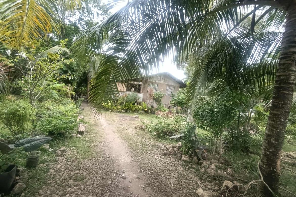Land for Sale in Looc, Panglao, Bohol – photo 8