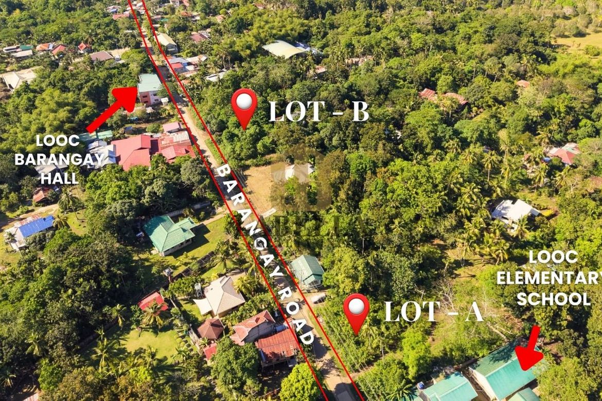 Land for Sale in Looc, Panglao, Bohol