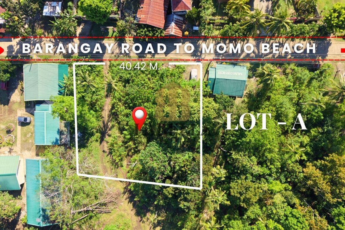 Land for Sale in Looc, Panglao, Bohol – photo 2