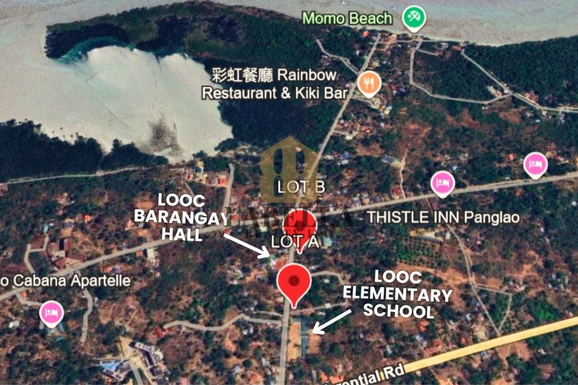 Land for Sale in Looc, Panglao, Bohol – photo 4