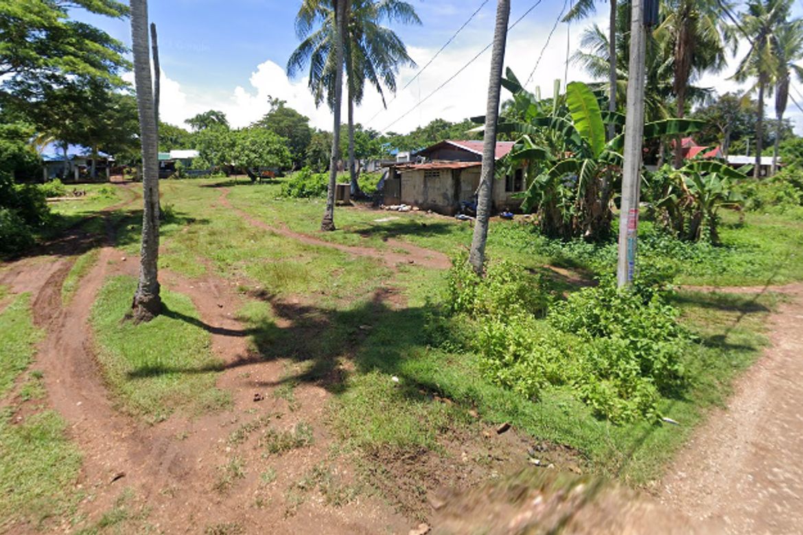 Land for Sale in Looc, Panglao, Bohol – photo 2