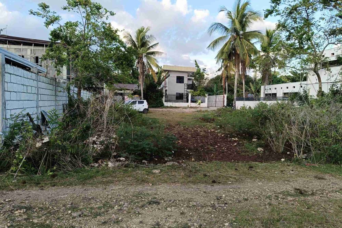 Land for Sale in Looc, Panglao, Bohol