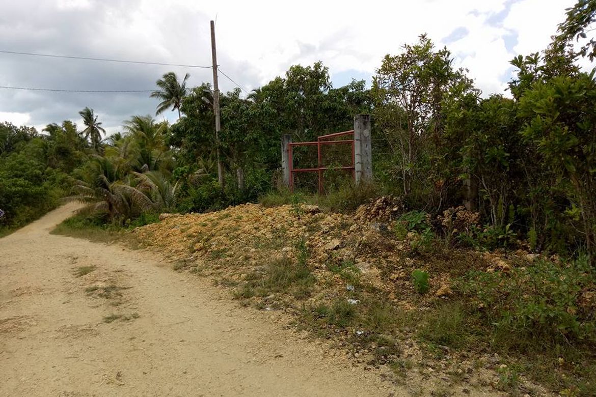 Land for Sale in Loreto, Cortes, Bohol – photo 2