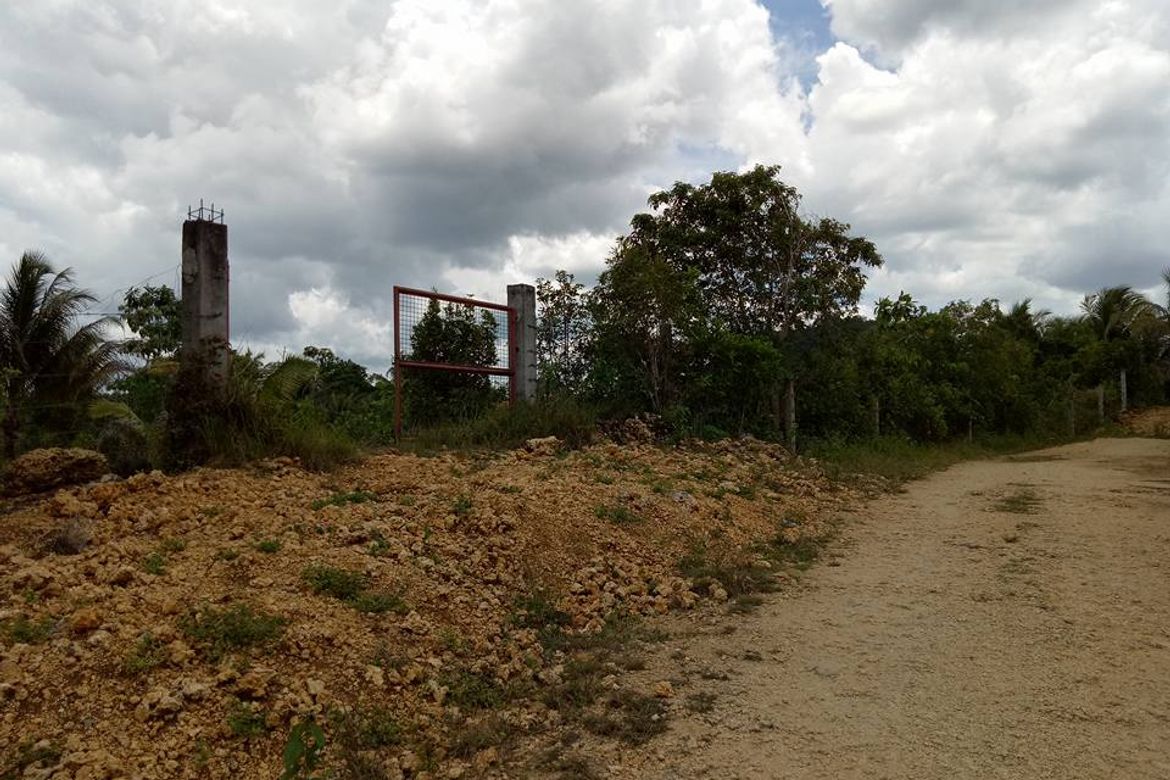 Land for Sale in Loreto, Cortes, Bohol – photo 8