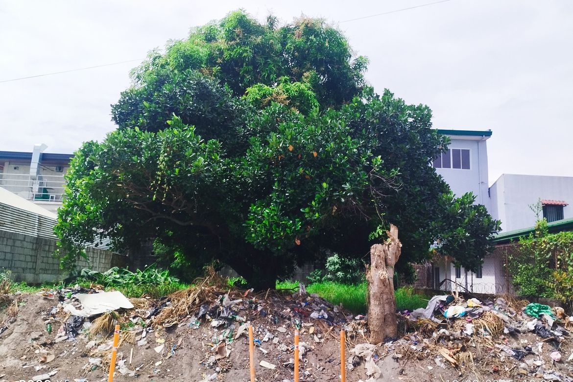 Land for Sale in Lourdes North West, Angeles, Pampanga