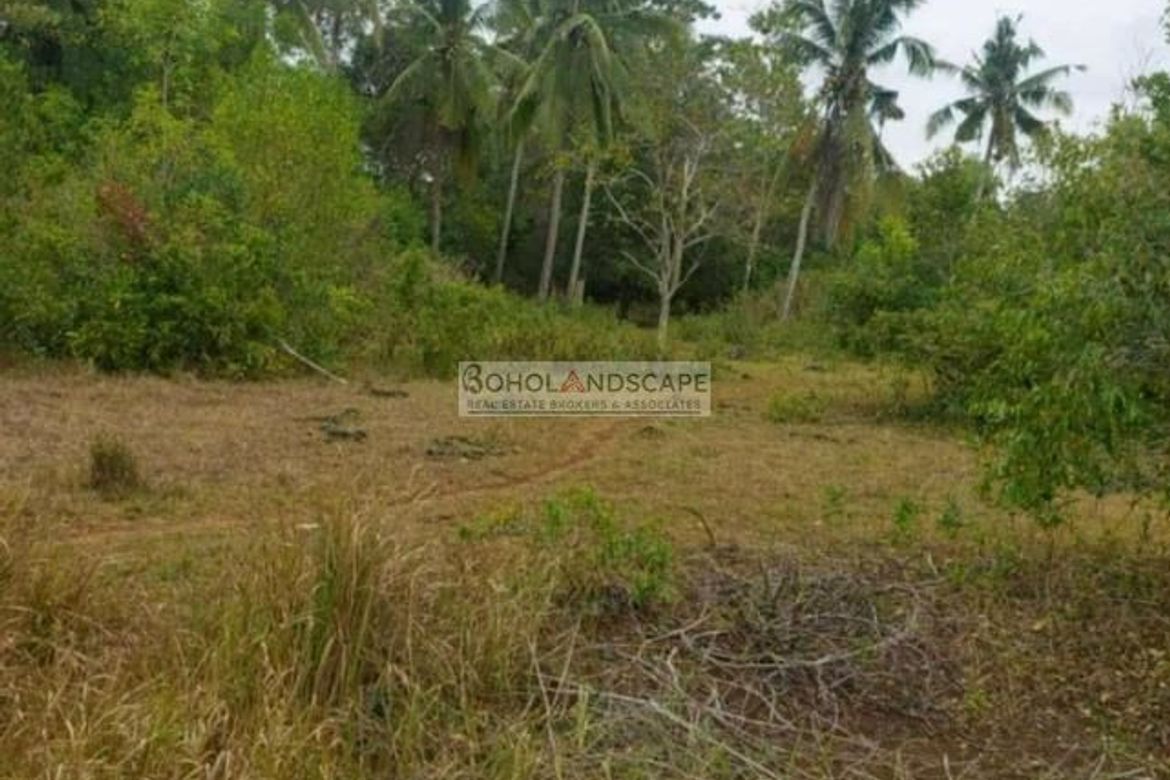 Land for Sale in Lourdes, Panglao, Bohol – photo 3