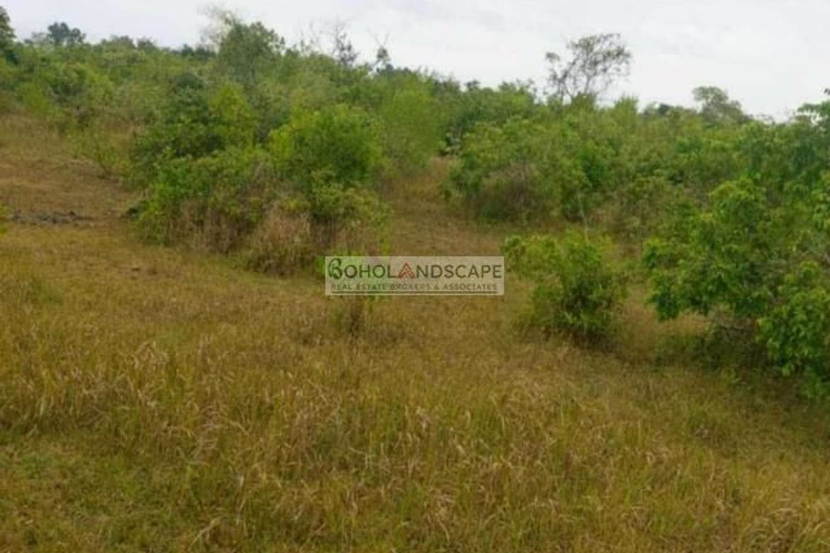 Land for Sale in Lourdes, Panglao, Bohol – photo 5