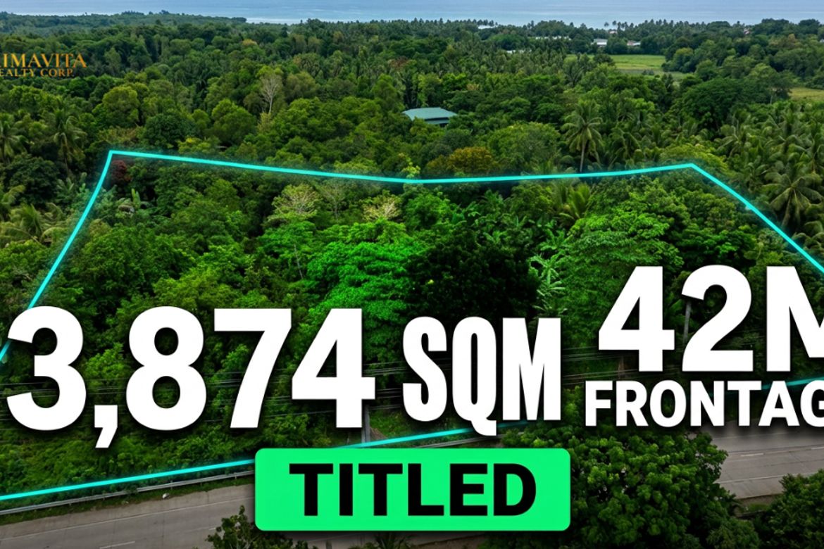 Land for Sale in Lourdes, Panglao, Bohol – photo 3
