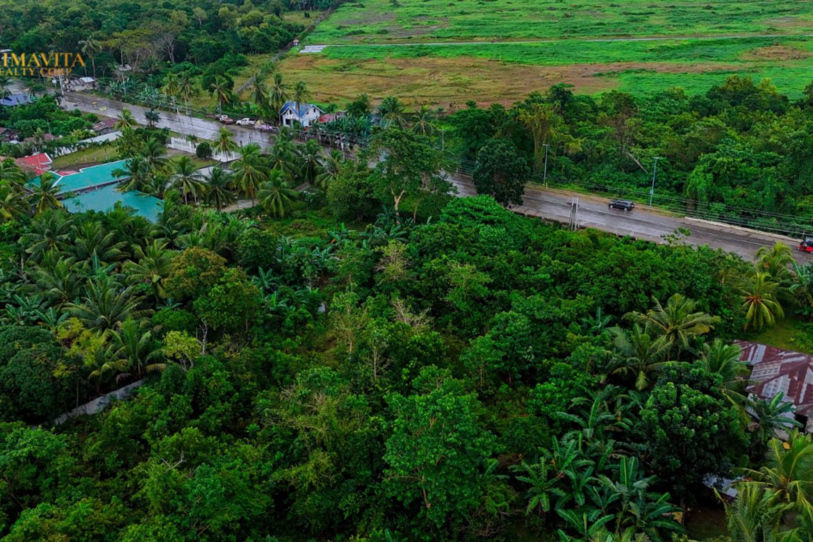 Land for Sale in Lourdes, Panglao, Bohol – photo 5