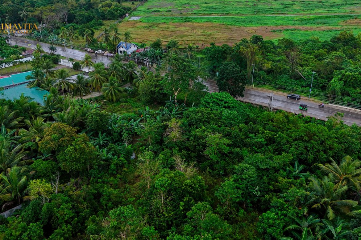 Land for Sale in Lourdes, Panglao, Bohol – photo 6