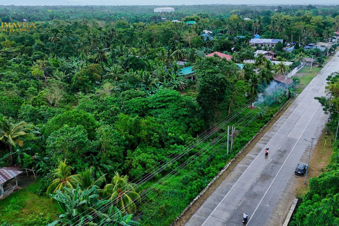Land for Sale in Lourdes, Panglao, Bohol – photo 7