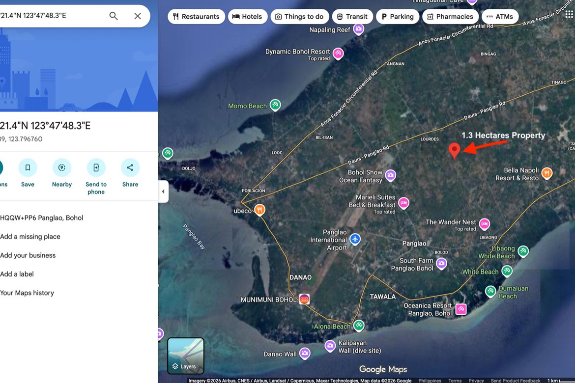 Land for Sale in Lourdes, Panglao, Bohol – photo 7