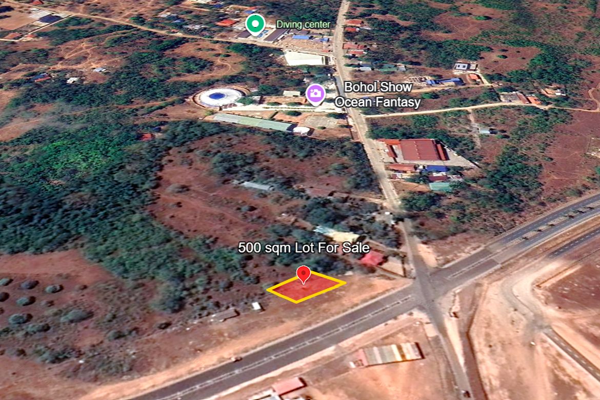 Land for Sale in Lourdes, Panglao, Bohol – photo 4