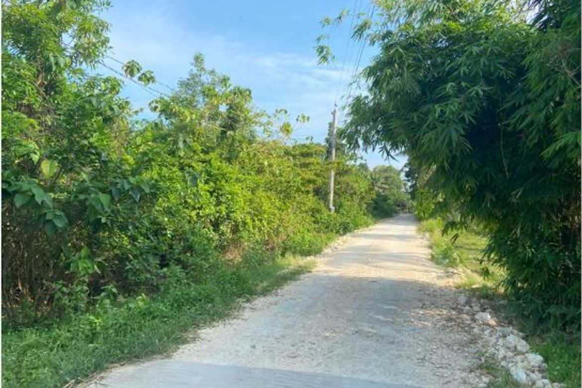 Land for Sale in Lourdes, Panglao, Bohol – photo 3