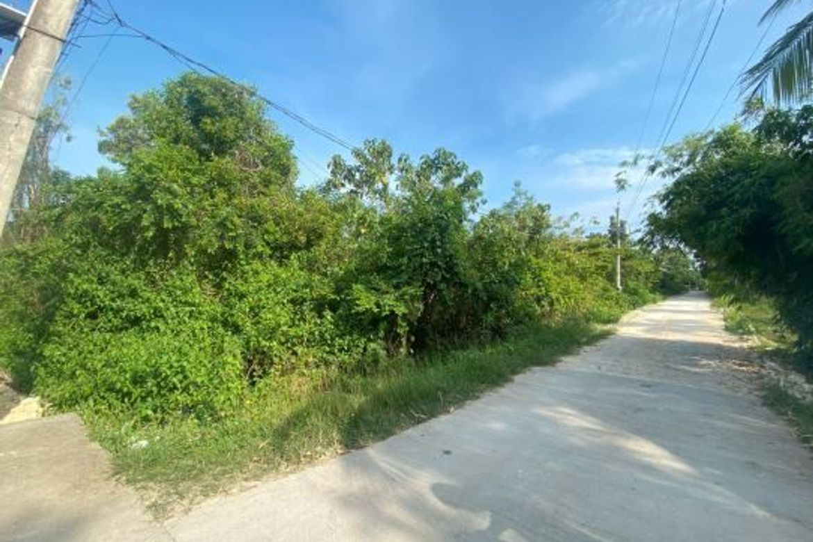 Land for Sale in Lourdes, Panglao, Bohol – photo 4