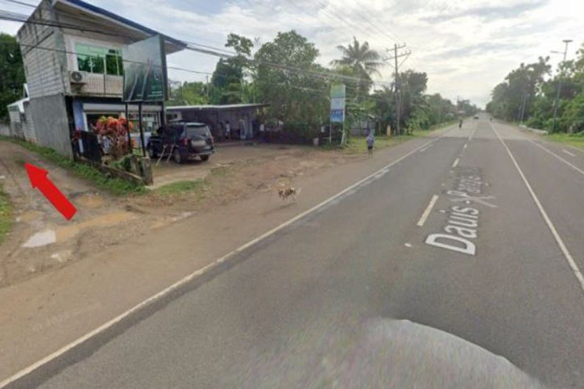 Land for Sale in Lourdes, Panglao, Bohol – photo 5