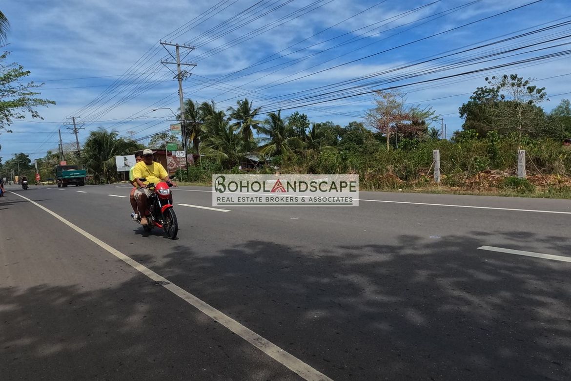 Land for Sale in Lourdes, Panglao, Bohol – photo 2