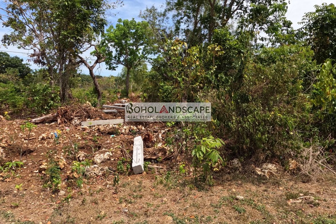Land for Sale in Lourdes, Panglao, Bohol – photo 4