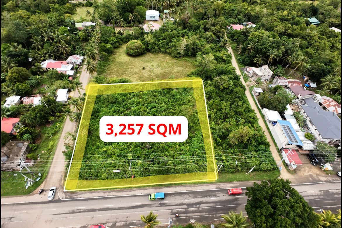 Land for Sale in Lourdes, Panglao, Bohol