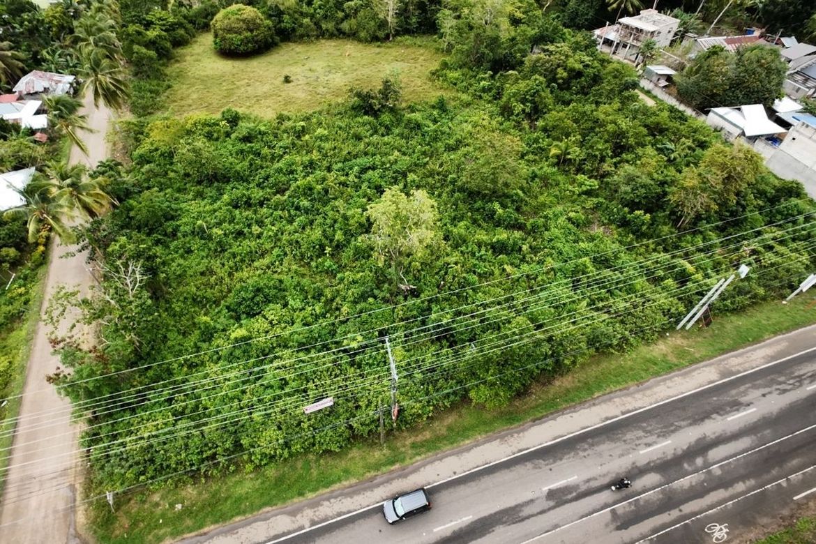Land for Sale in Lourdes, Panglao, Bohol – photo 2