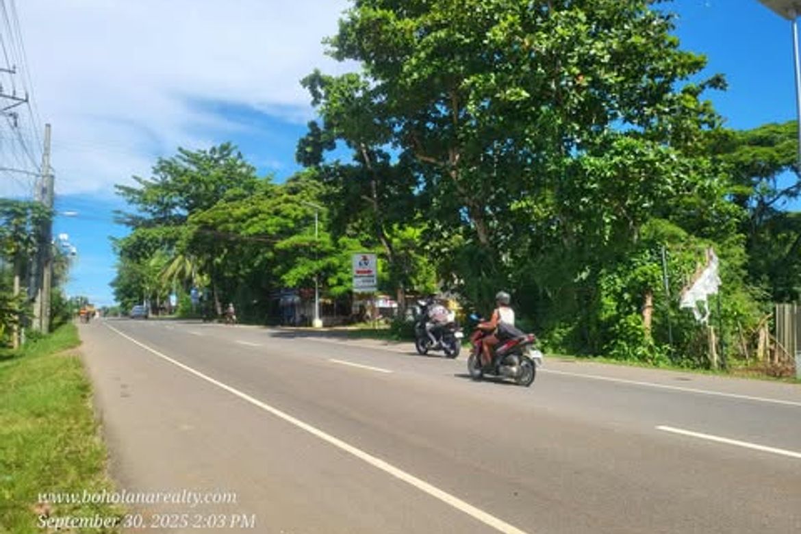 Land for Sale in Lourdes, Panglao, Bohol