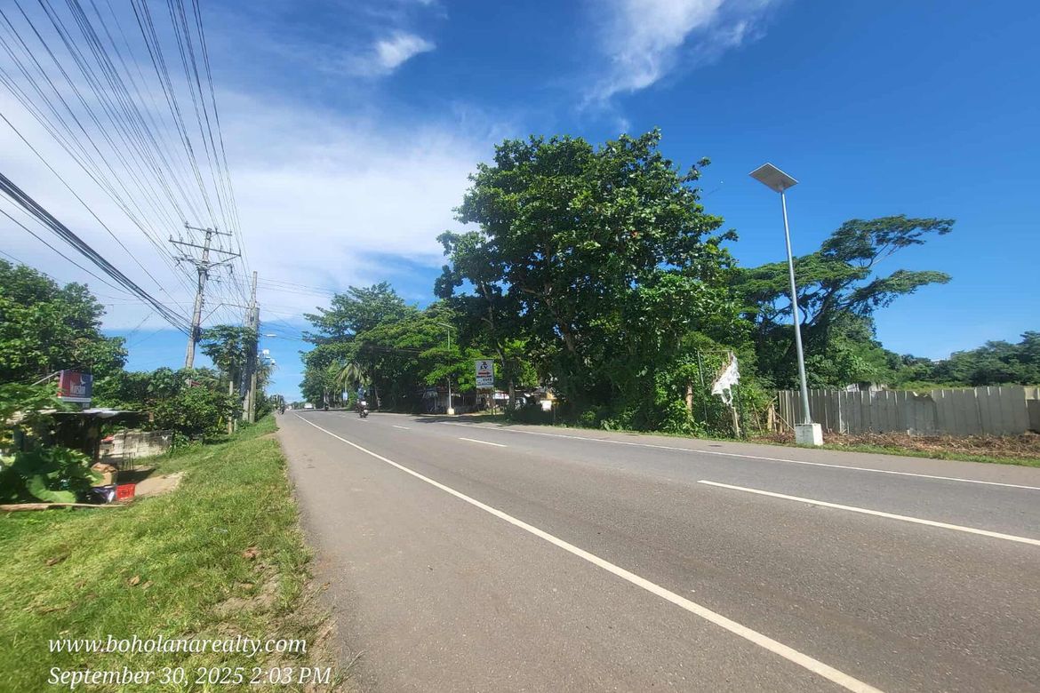 Land for Sale in Lourdes, Panglao, Bohol – photo 3