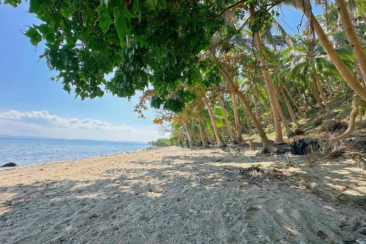 Land for Sale in Lower Omon, Ragay, Camarines Sur