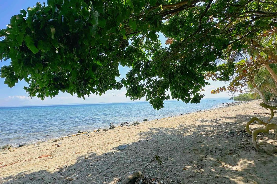 Land for Sale in Lower Omon, Ragay, Camarines Sur – photo 7