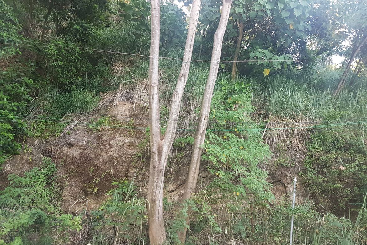 Land for Sale in LOYOLA GRAND VILLAS, Ramon Magsaysay, Quezon City, Metro Manila near LRT-1 Roosevelt – photo 3