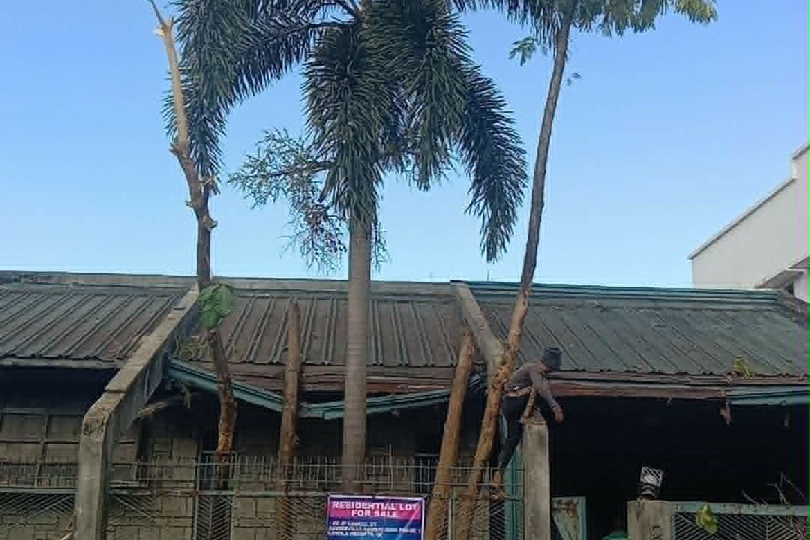 Land for Sale in Loyola Heights, Quezon City, Metro Manila near LRT-2 Anonas – photo 3