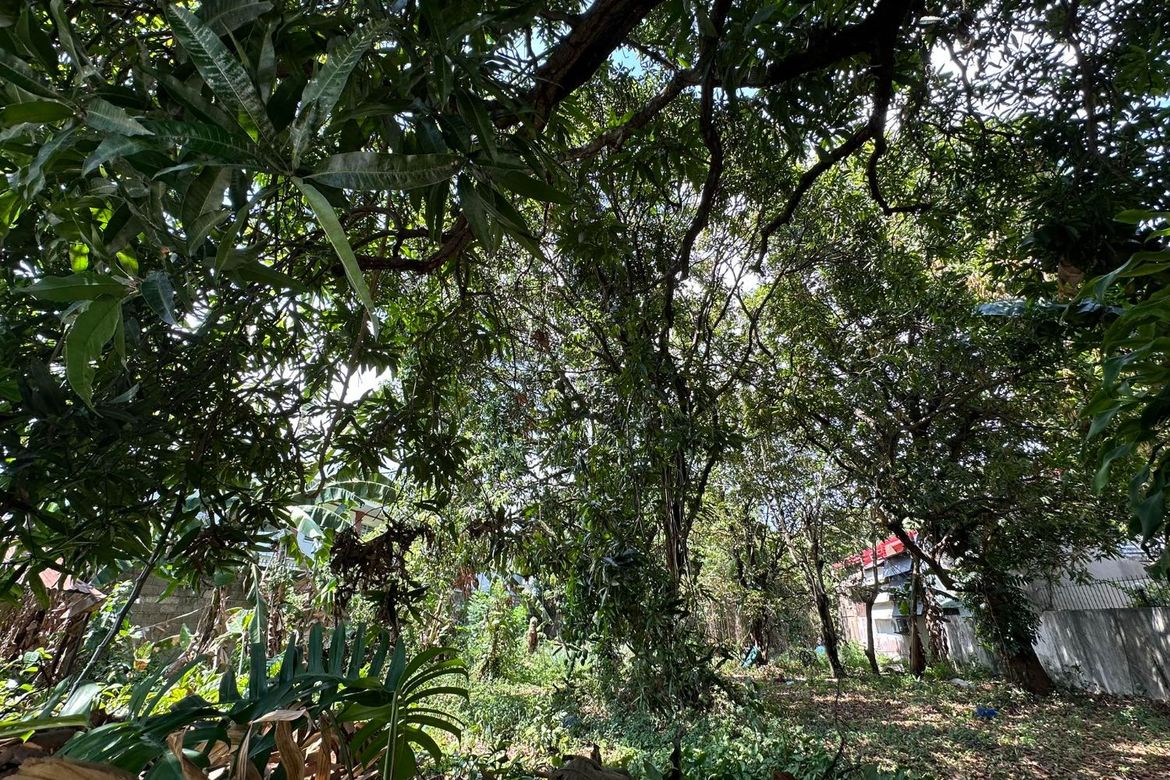 Land for Sale in Loyola Heights, Quezon City, Metro Manila near LRT-2 Katipunan – photo 2
