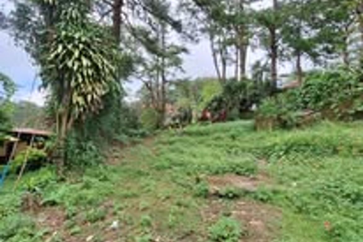 Land for Sale in Lualhati, Baguio, Benguet
