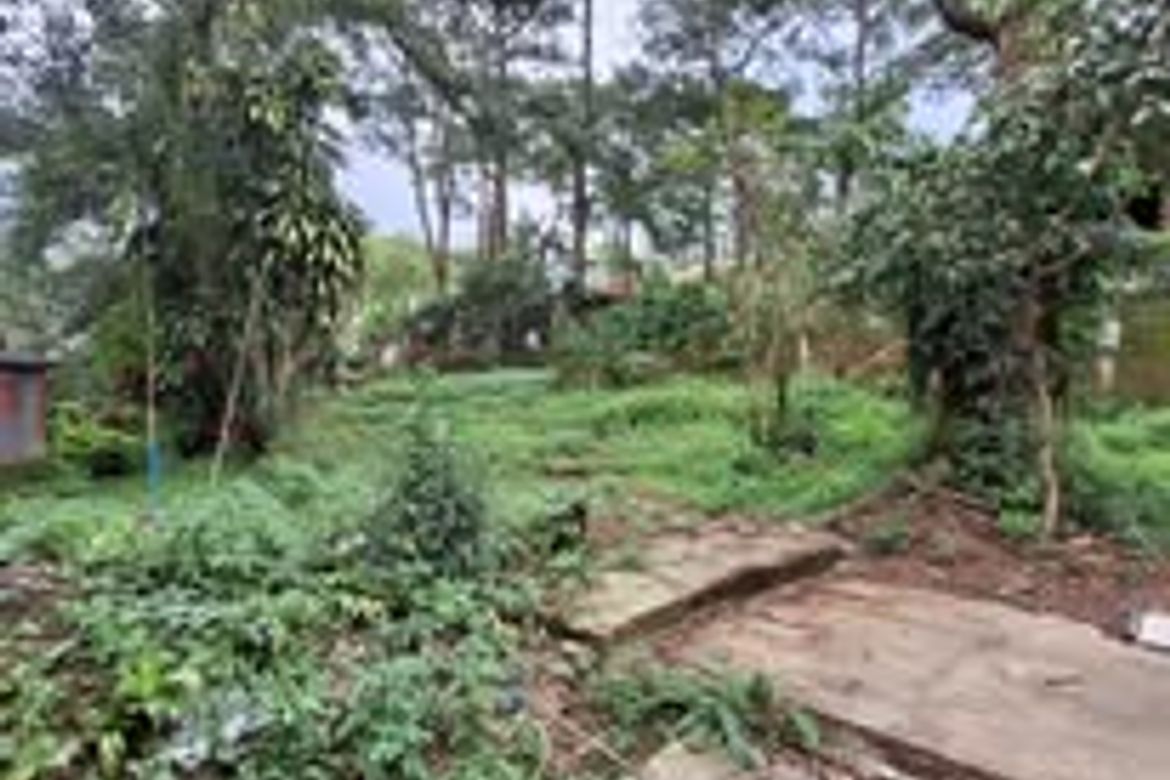 Land for Sale in Lualhati, Baguio, Benguet – photo 3
