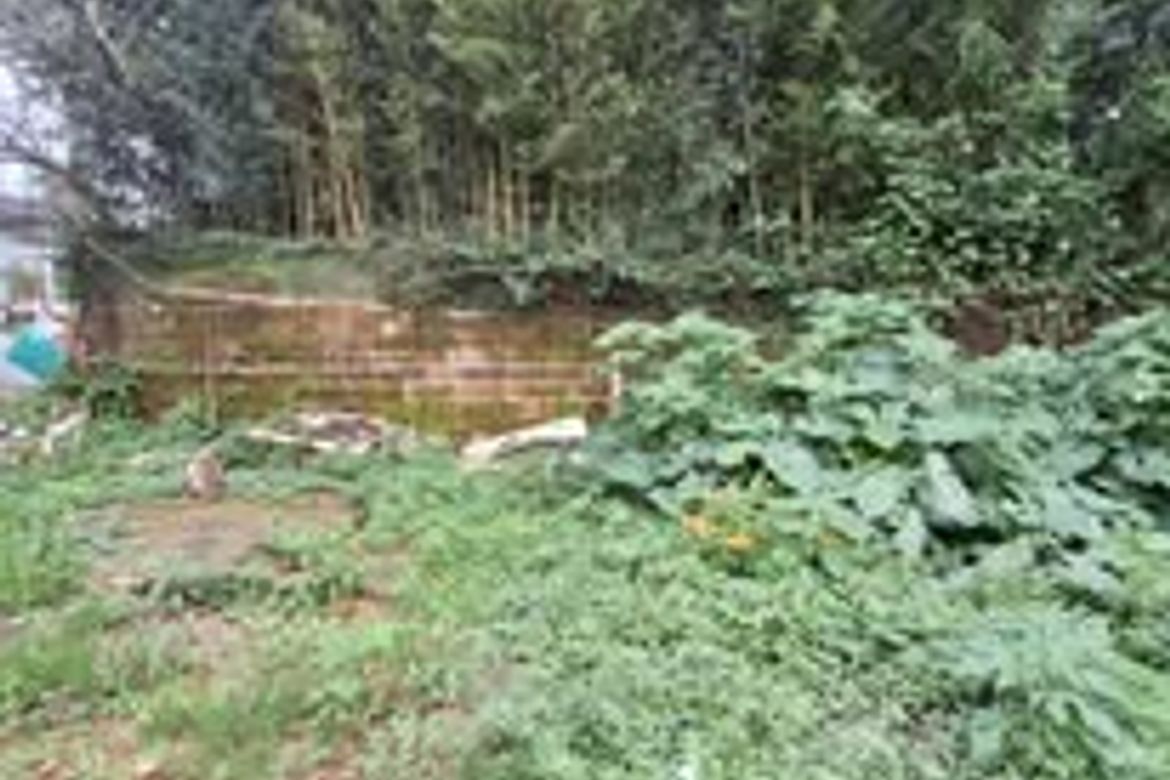 Land for Sale in Lualhati, Baguio, Benguet – photo 5