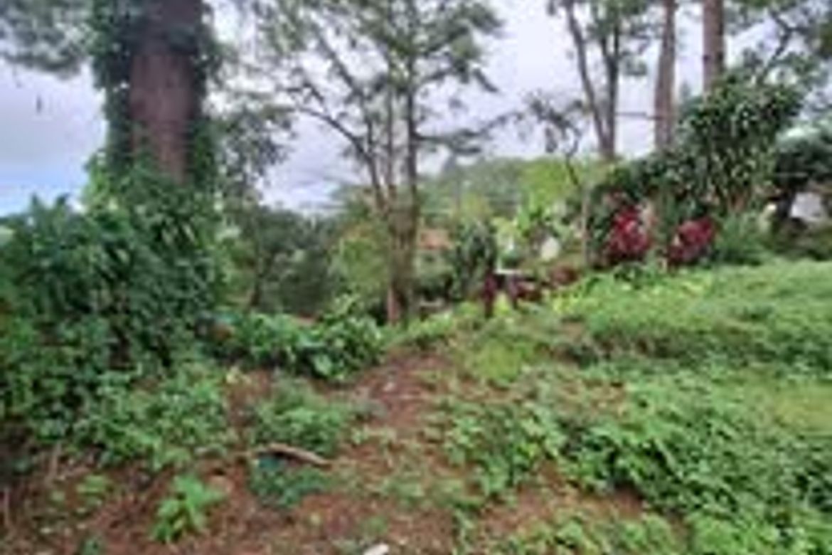 Land for Sale in Lualhati, Baguio, Benguet – photo 6