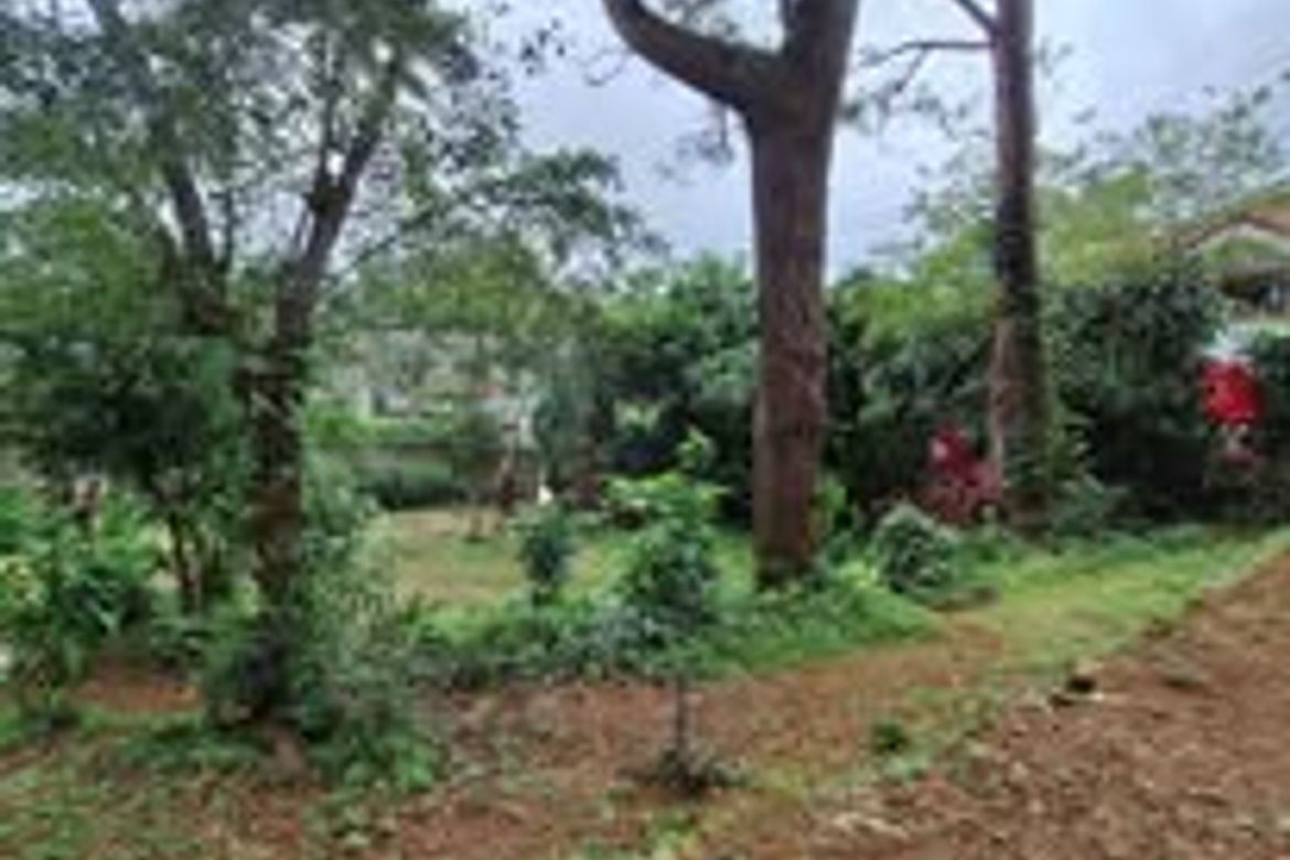 Land for Sale in Lualhati, Baguio, Benguet – photo 8