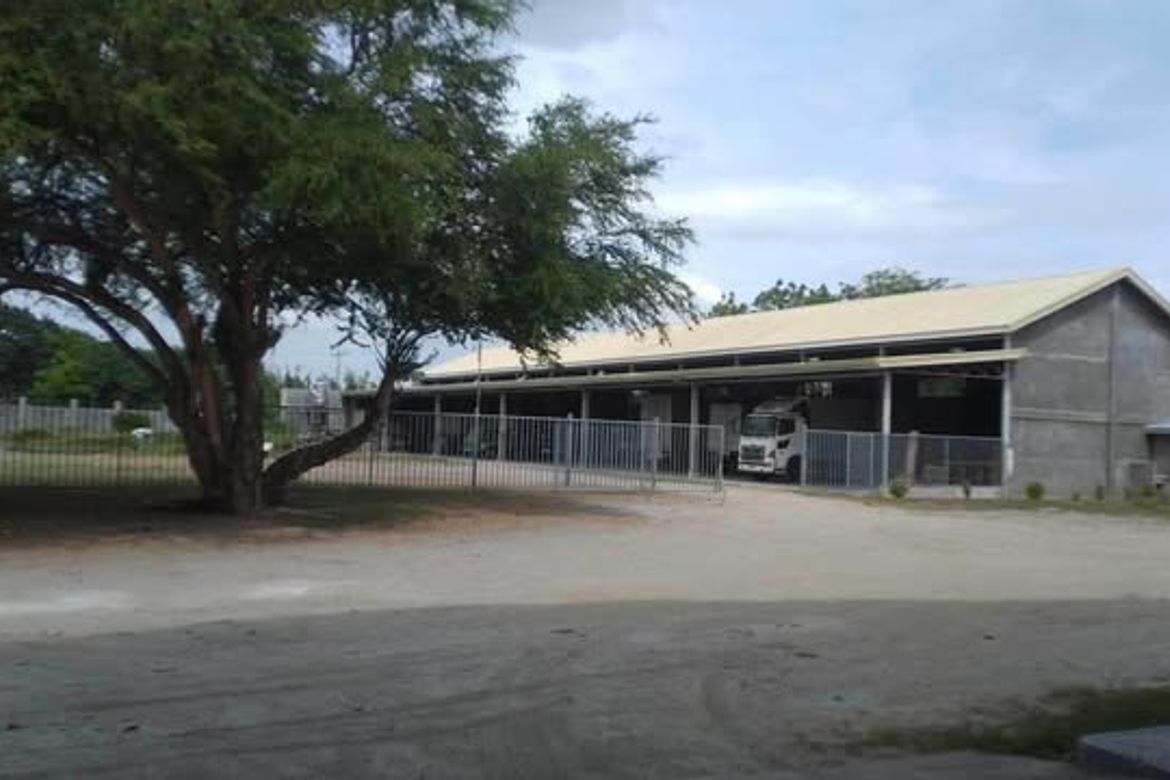 Land for Sale in Lubao, Pampanga – photo 3