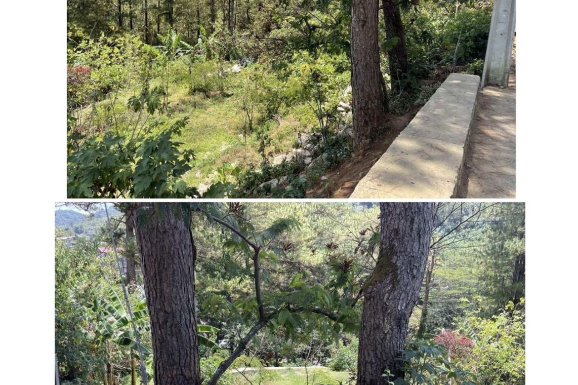Land for Sale in Lubas, La trinidad, Benguet – photo 3
