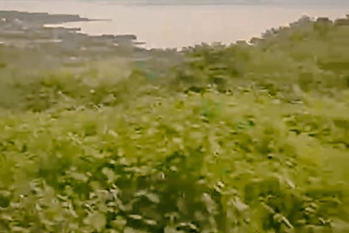 Land for Sale in Lubo, Jala-Jala, Rizal – photo 4