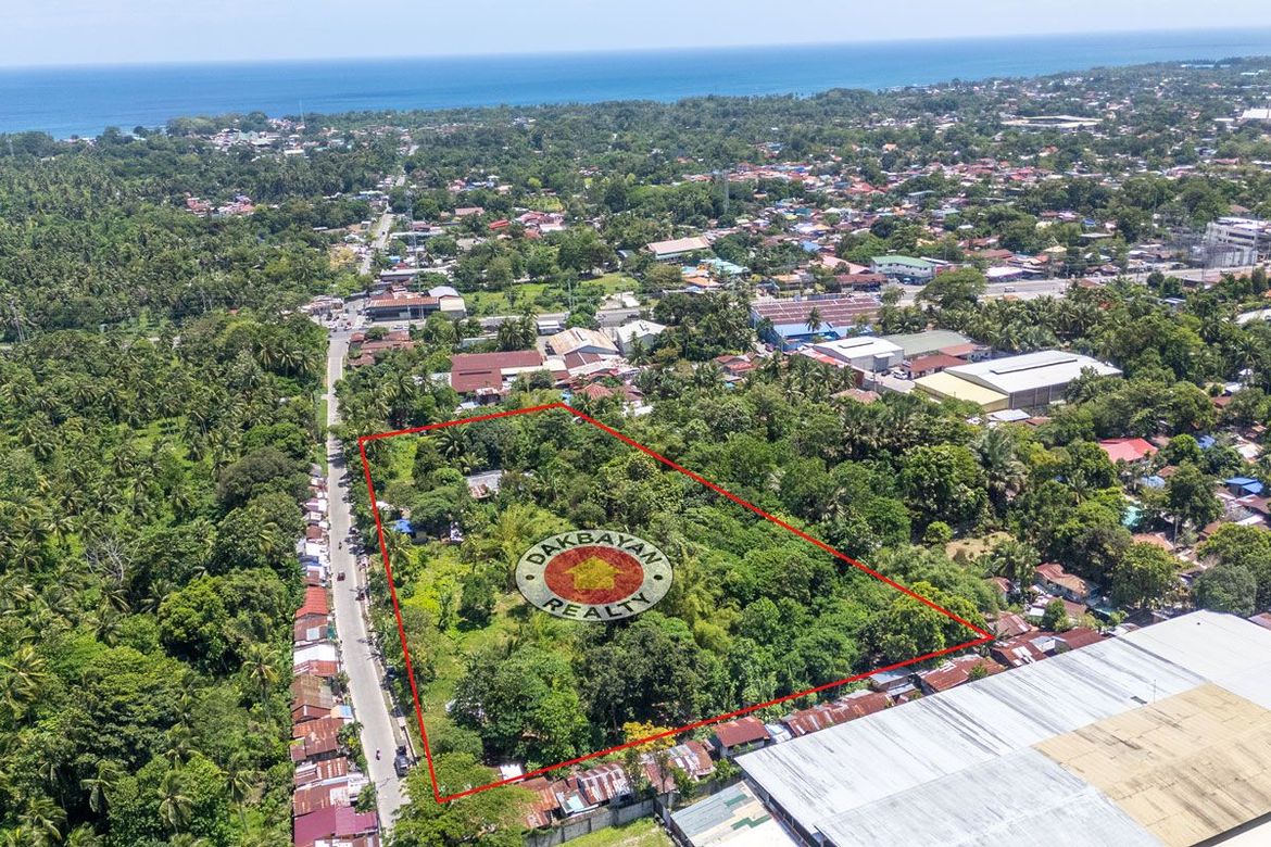 Land for Sale in Lubogan, Davao City, Davao del Sur – photo 5