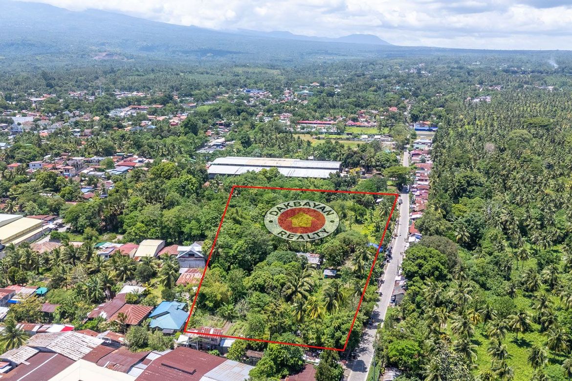Land for Sale in Lubogan, Davao City, Davao del Sur – photo 8