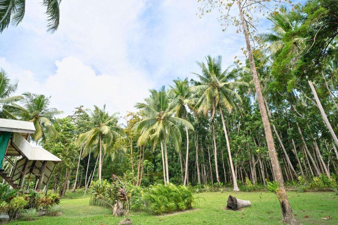 Land for Sale in Lucbuan, Puerto Princesa, Palawan – photo 2