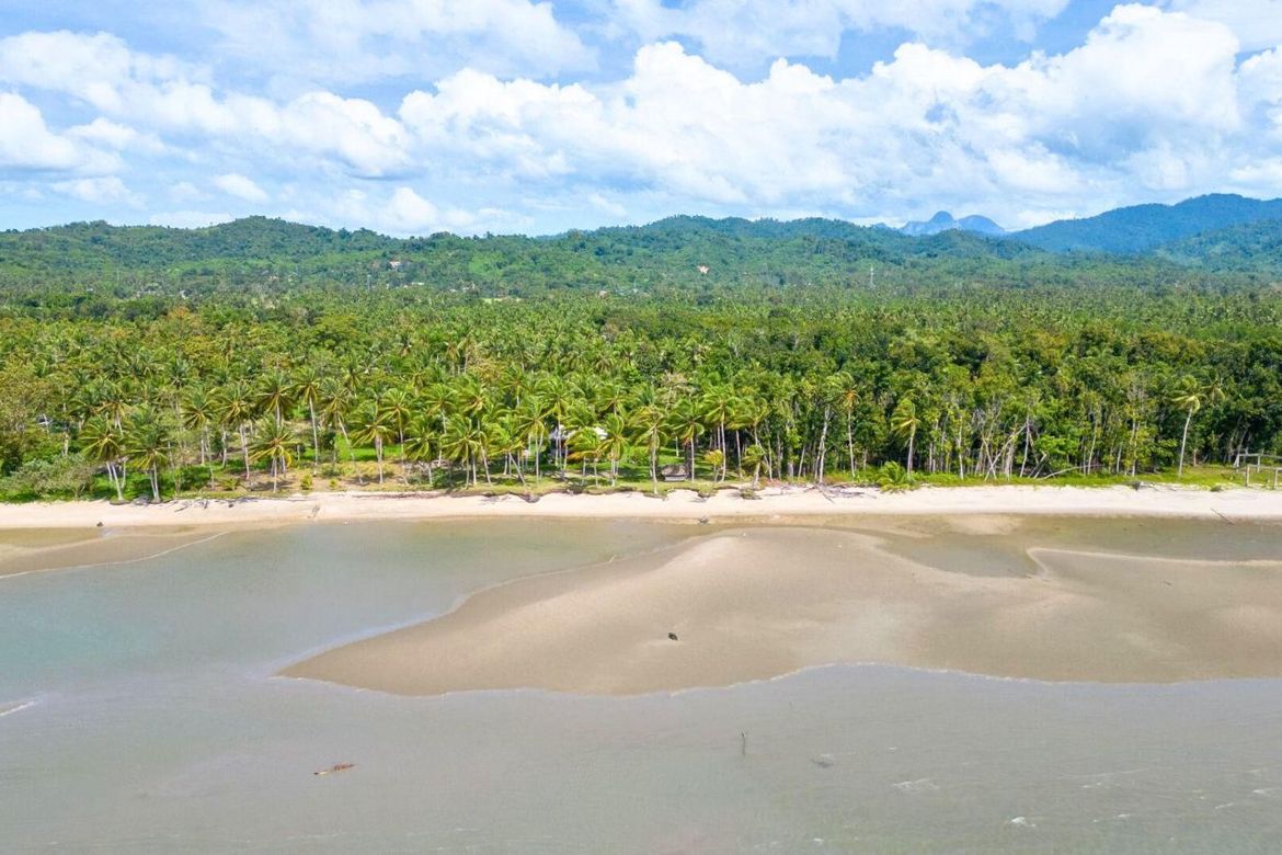 Land for Sale in Lucbuan, Puerto Princesa, Palawan – photo 5
