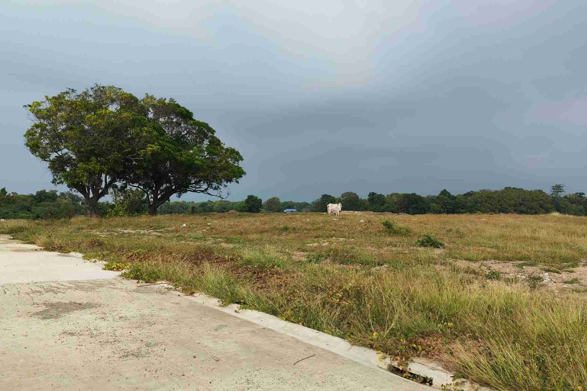 Land for Sale in Lucsuhin, Calatagan, Batangas – photo 7