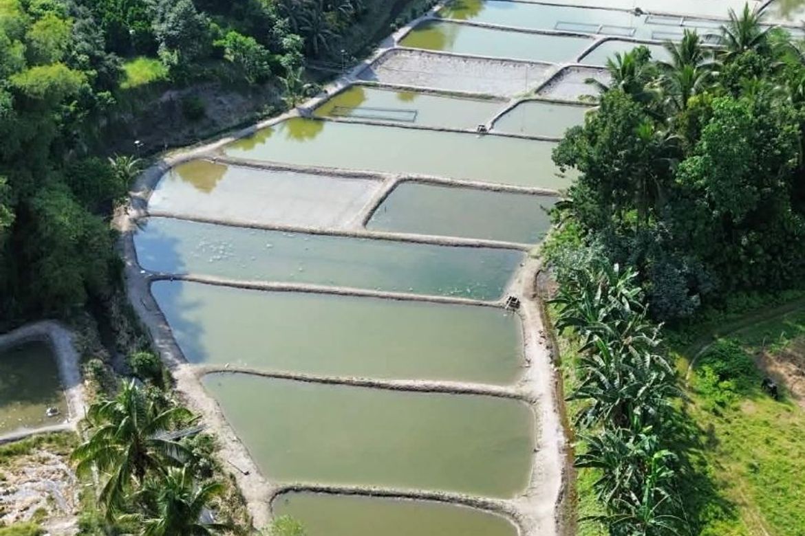Land for Sale in Luhib, Lake Sebu, South Cotabato