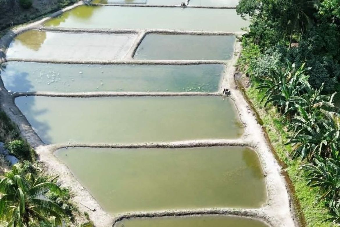 Land for Sale in Luhib, Lake Sebu, South Cotabato – photo 2