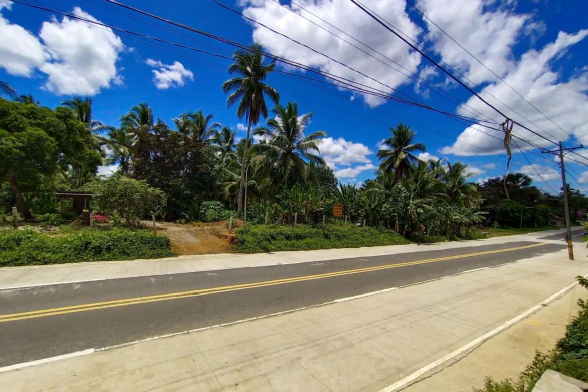 Land for Sale in Lukay, Babatngon, Leyte – photo 2