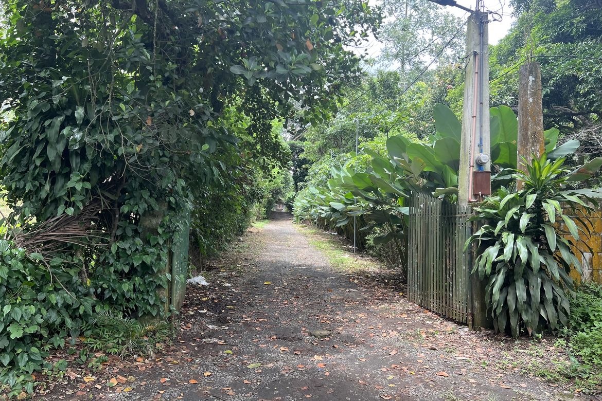 Land for Sale in Luksuhin, Alfonso, Cavite – photo 2